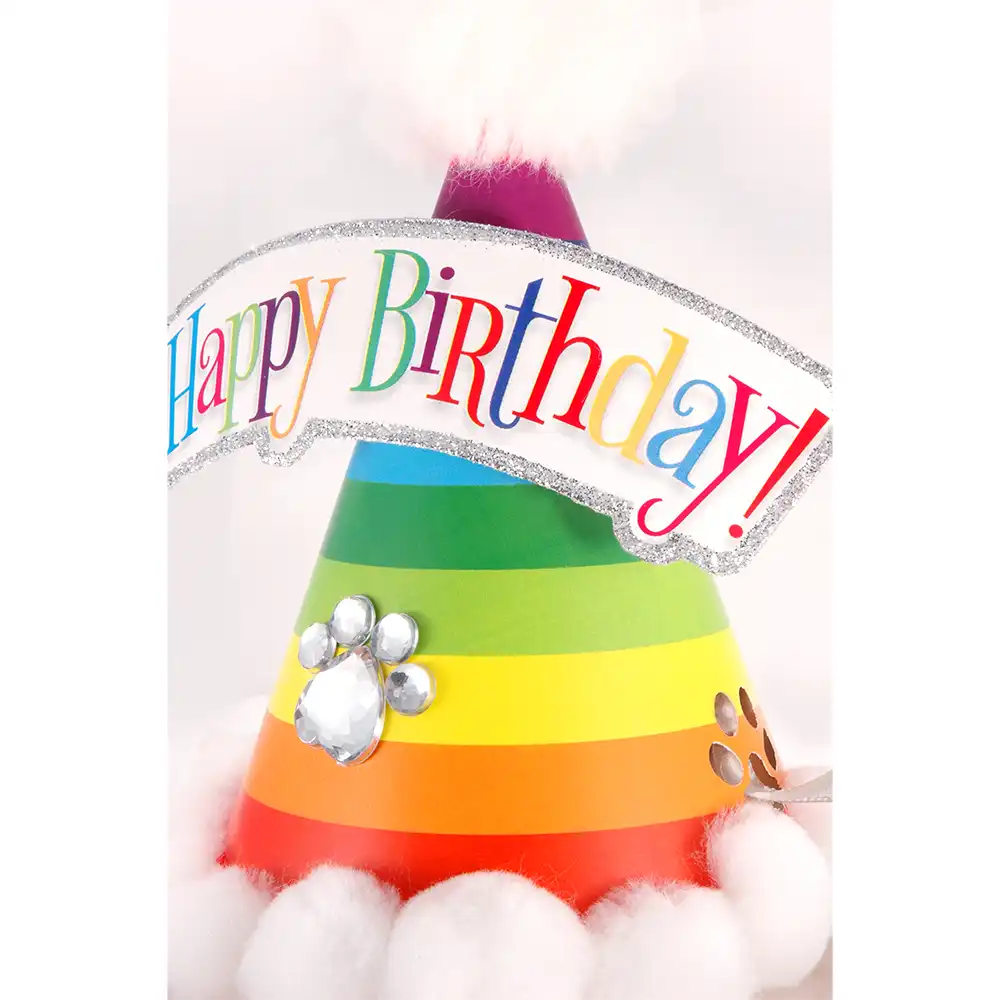 Rainbow Birthday Hats for Dogs