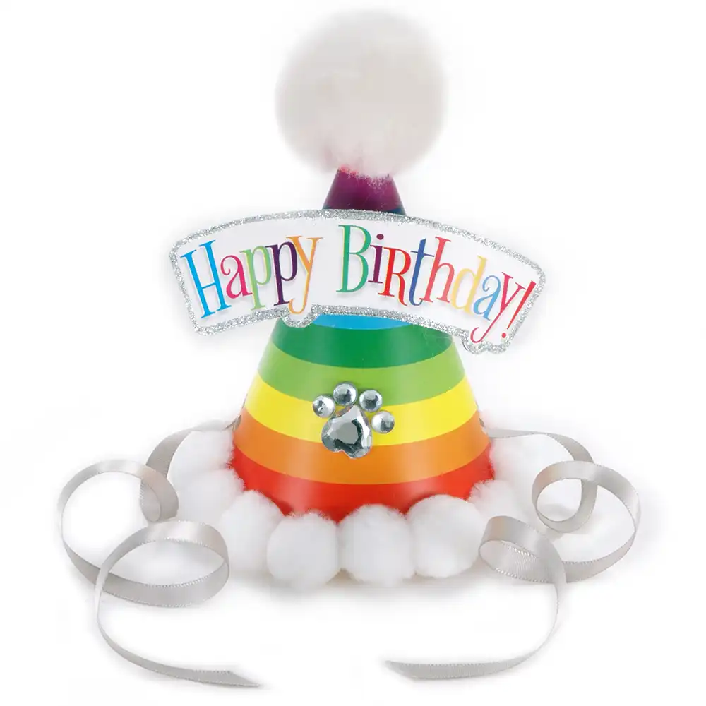 Rainbow Birthday Hats for Dogs