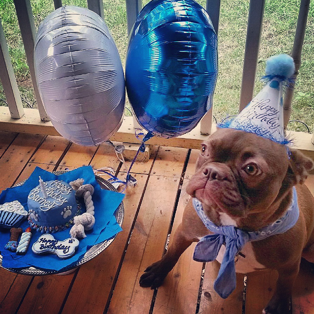 Birthday Hats for Dogs-Customized