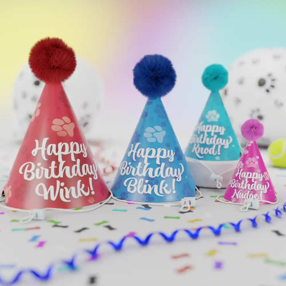 Birthday Hats for Dogs-Customized