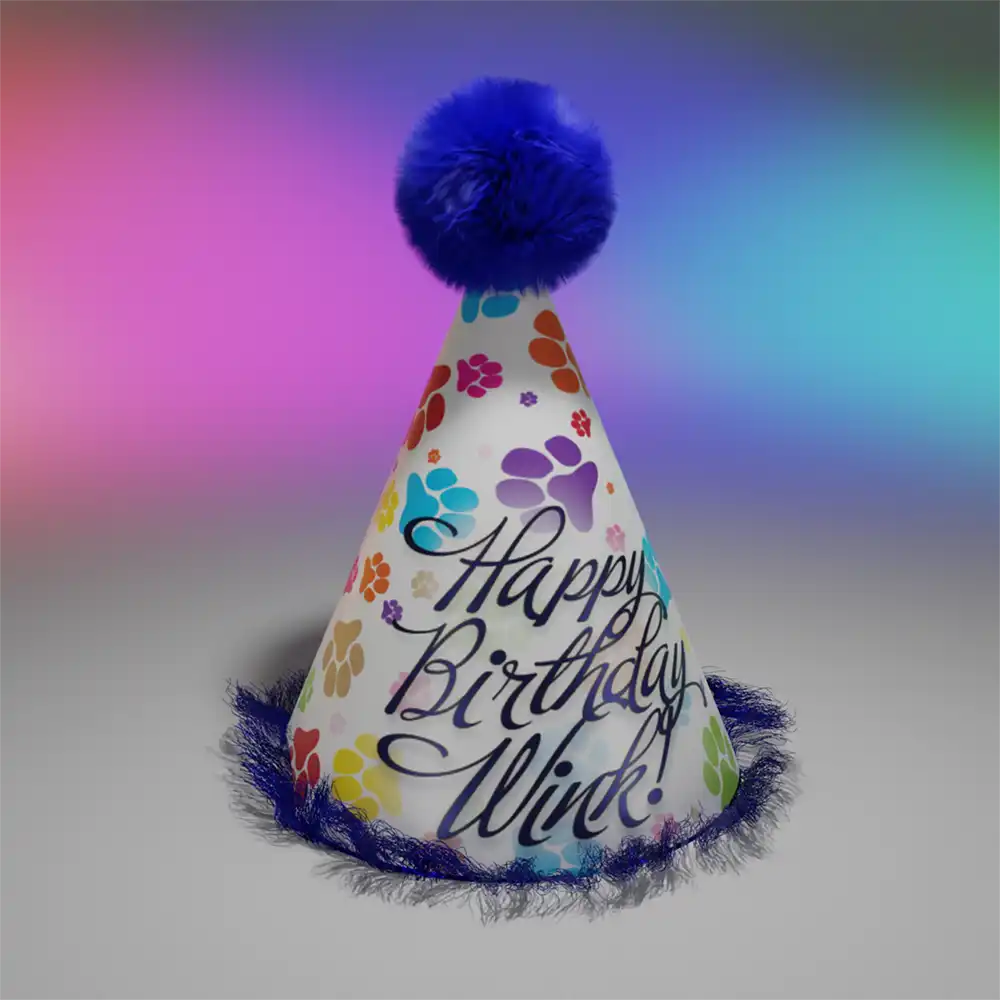 Birthday Hats for Dogs-Customized