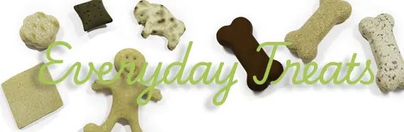 Banner 2
